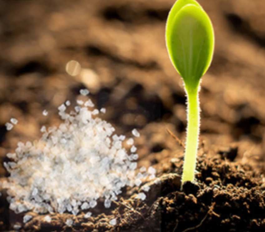 تصویر 2 از قیمت ویژه کود هیدروژل نگهدارنده رطوبت و تغذیه گیاه